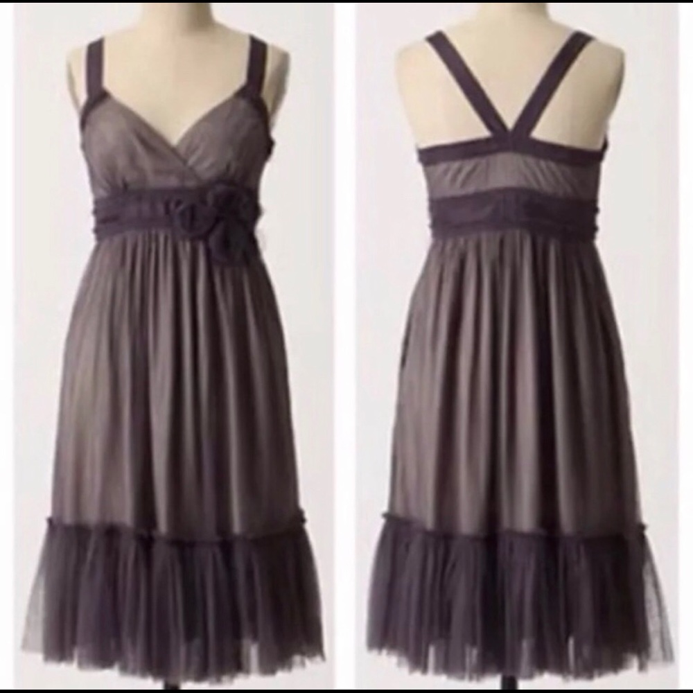 🆕 ANTHROPOLOGIE Silver/Grey Tulle Dress 6